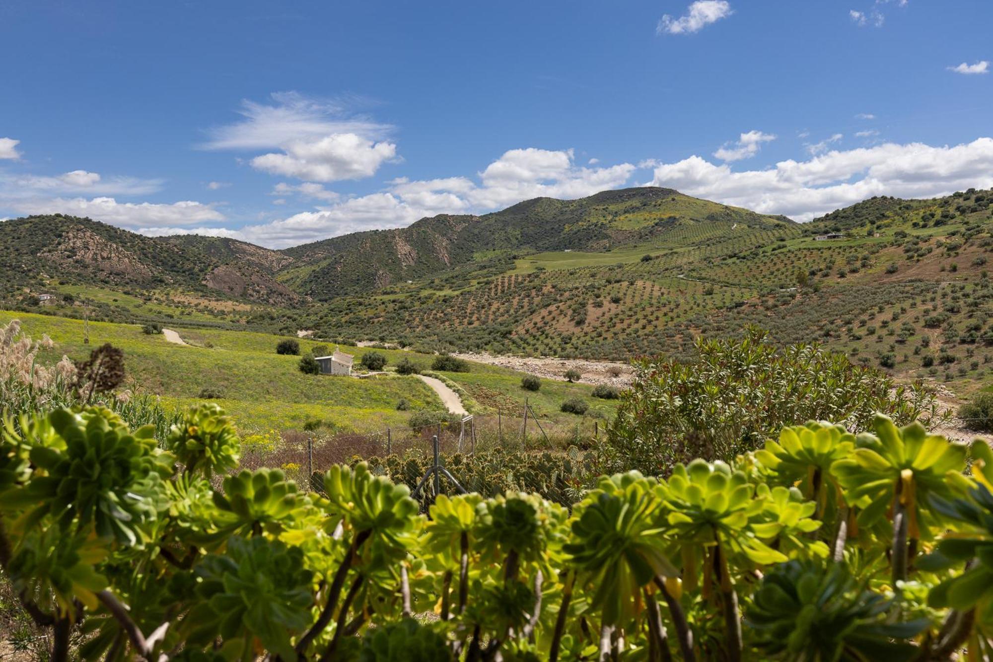 Boutique B&B Cortijo Valverde Alora Exteriér fotografie